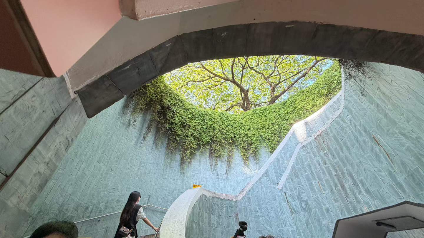 Looking up through the curved stairwell of the Fort Canning Tree Tunnel toward a broad green tree canopy